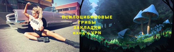 гашик Лагань