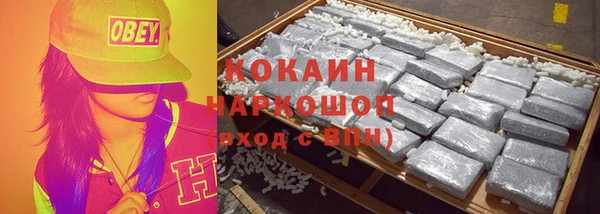 стафф Ладушкин