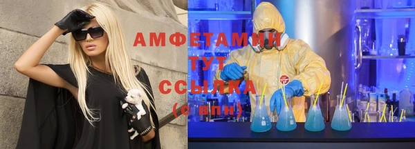 сатива Кукмор